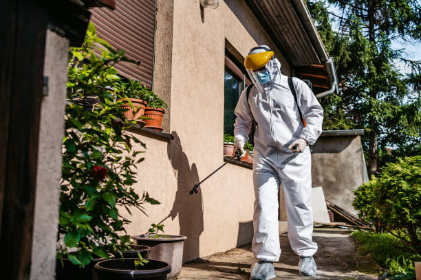 Best Bed Bug Extermination  in Long Beach, WA