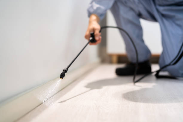Best Pest Prevention Services  in Long Beach, WA