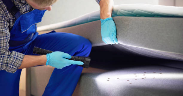 Pest Prevention Services in Long Beach, WA
