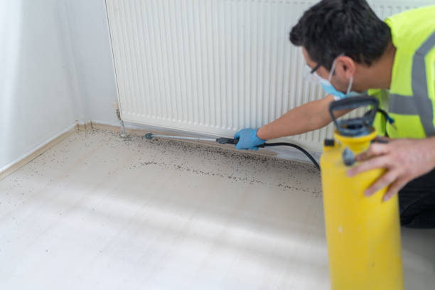Best Residential Pest Control  in Long Beach, WA